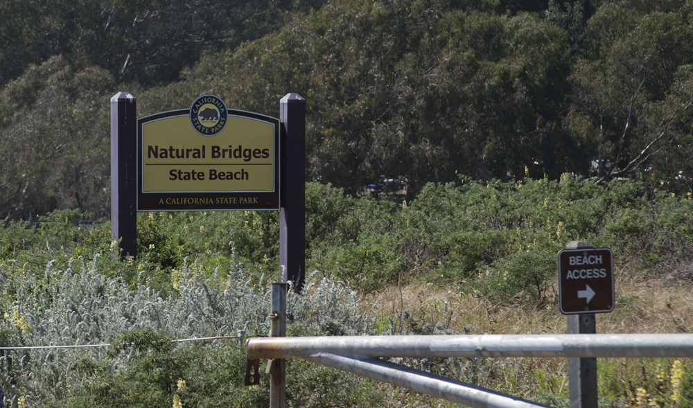 Natural Bridges, Santa Cruz, California
