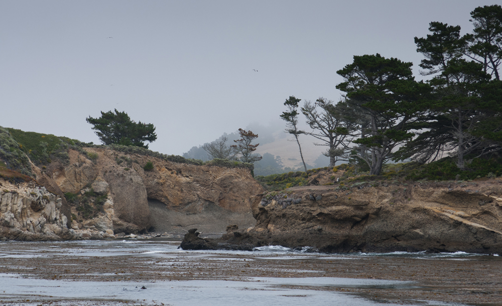 Point Lobos State Reserve, California