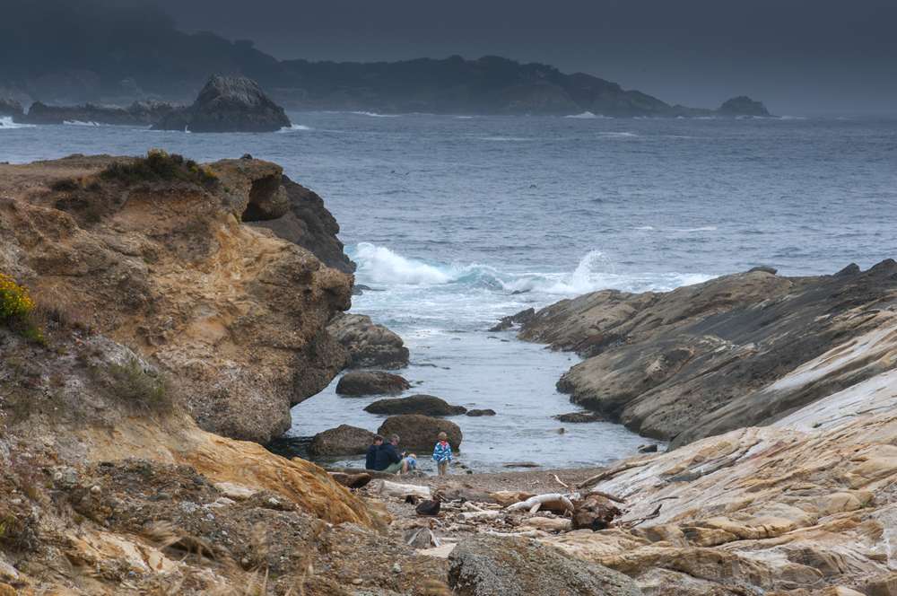 Point Lobos, State Reserve, California