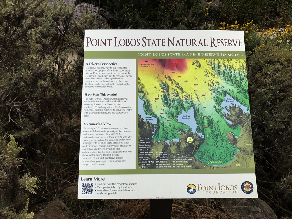 Point Lobos, State Reserve, California