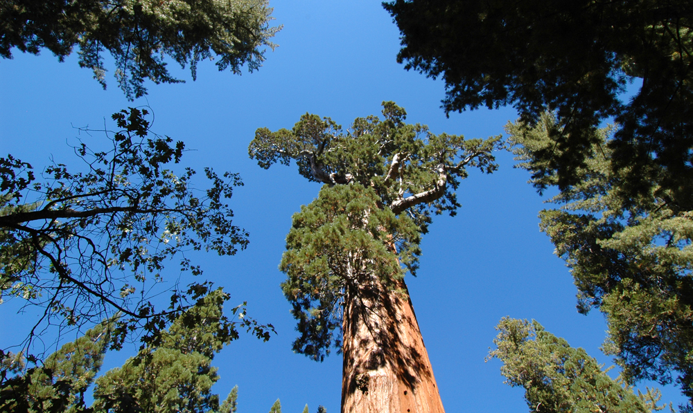 10 best photography spots in Northern California