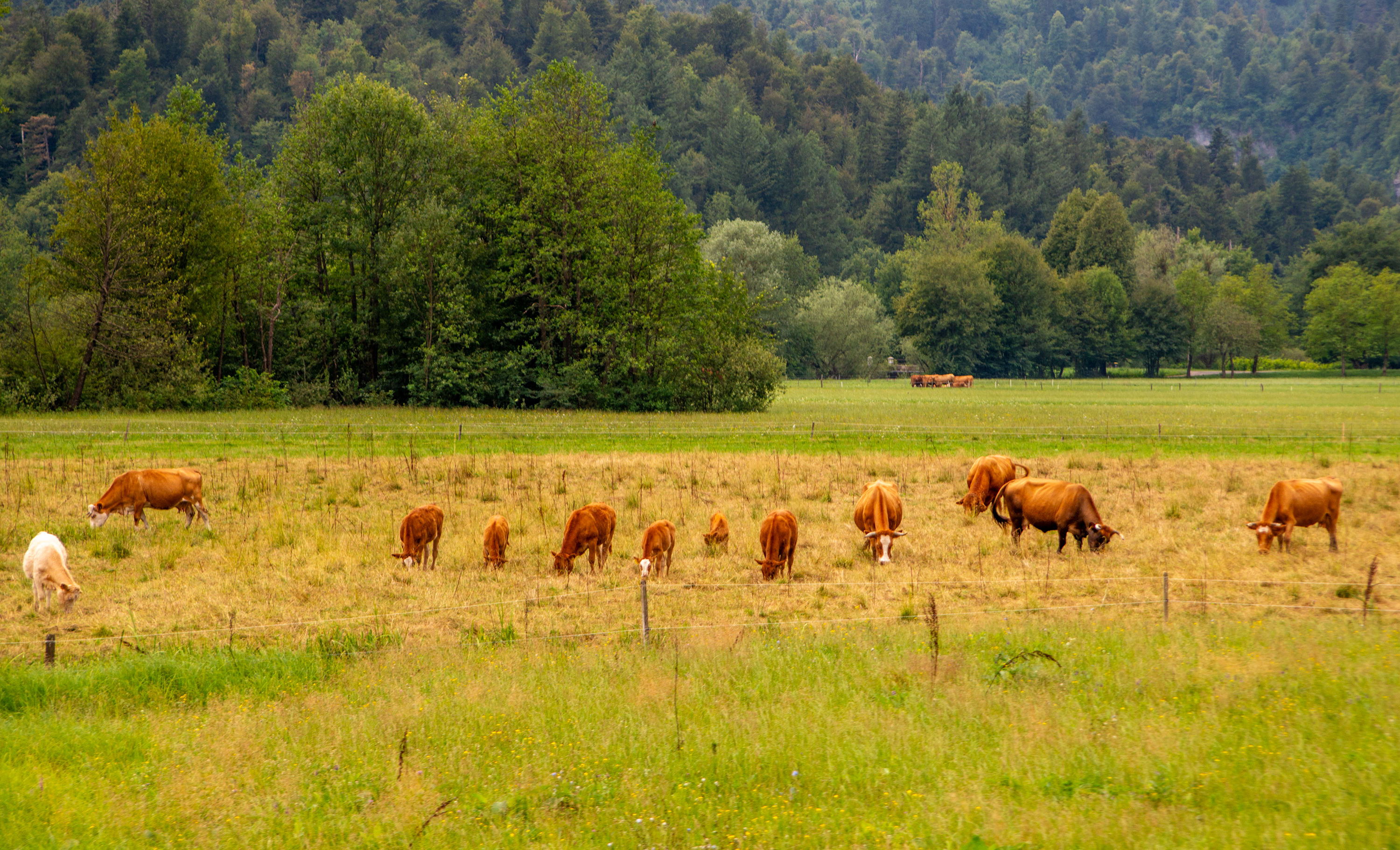 Predjama Castle, Slovenia
