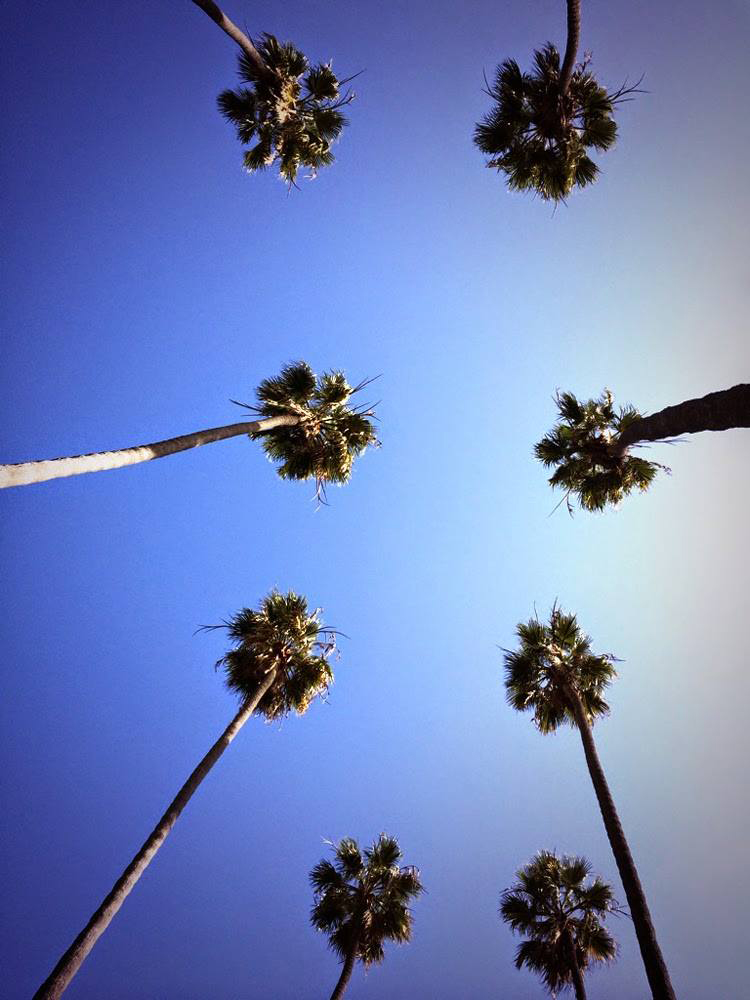 California